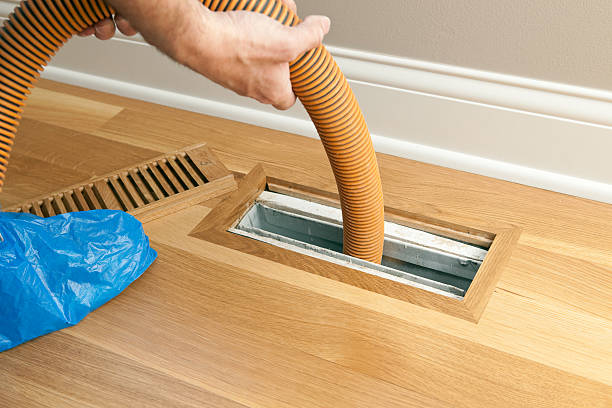 Best Air Vent Cleaning Services  in Washburn, ND